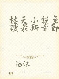 林天小说免费阅读最新章节