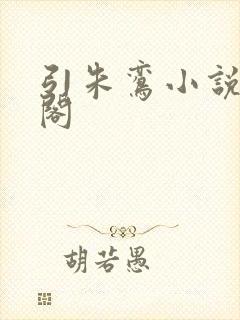 引朱鸾小说笔趣阁