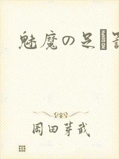 魅魔の足を罚す封面