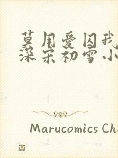 莫用爱囚我傅寒深宋初雪小说