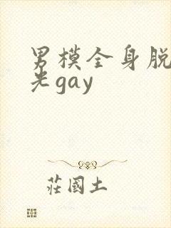 男模全身脱得精光gay封面