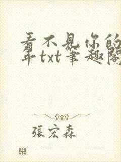 看不见你的第十年txt笔趣阁封面