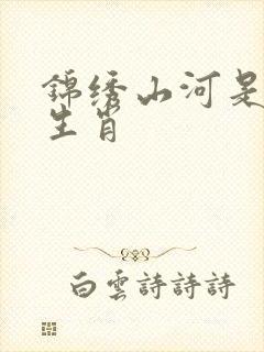 锦绣山河是什么生肖封面