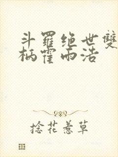 斗罗绝世双神权柄霍雨浩