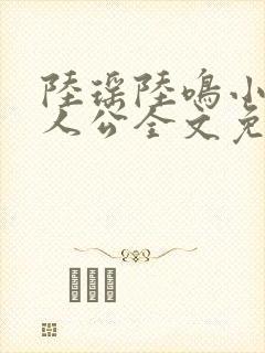 陆瑶陆鸣小说主人公全文免费阅读笔趣阁封面