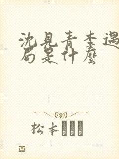 沈见青李遇泽结局是什么