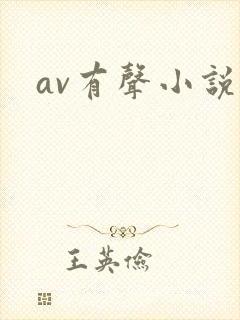 av有声小说封面