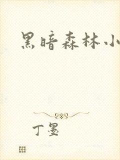 黑暗森林小说