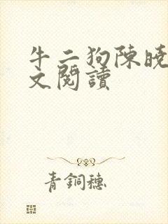 牛二狗陈晓燕全文阅读封面