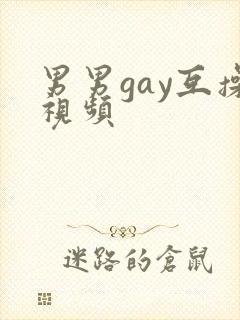 男男gay互操视频