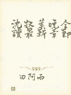 沈牧叶晚全文阅读最新章节