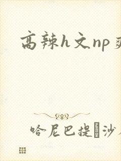 高辣h文np爽