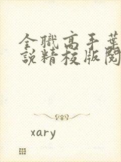 全职高手叶修小说精校版阅读