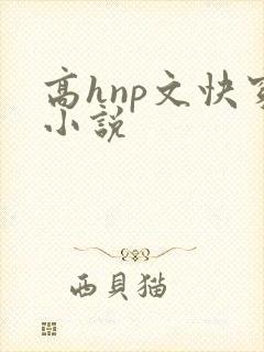 高hnp文快穿小说