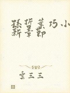 孙哲叶巧小说最新章节封面