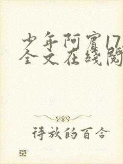 少年阿宾172全文在线阅读