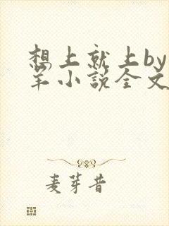 想上就上by迷羊小说全文免费阅读封面