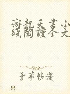 游龙天书小说在线阅读全文