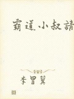 霸道小叔请轻撩封面