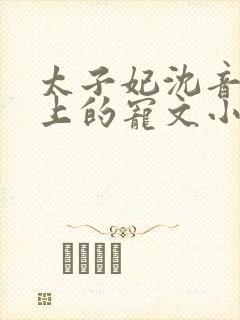 太子妃沈音和皇上的宠文小说