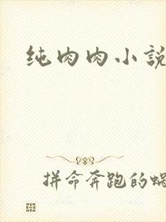 纯肉肉小说