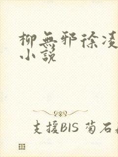 柳无邪徐凌雪 小说