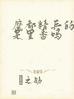 魔都精兵的奴隶是里番吗