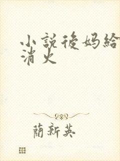 小说后妈给我消消火