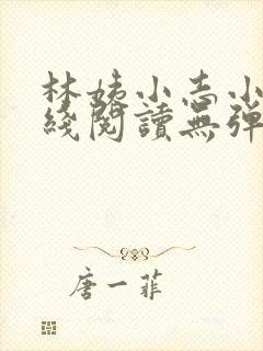 林姨小志小说在线阅读无弹窗封面