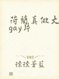 荷兰真做大尺度gay片