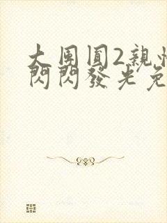 大团圆2亲情会闪闪发光免费