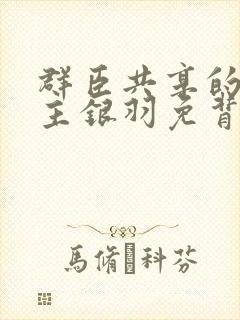 群臣共享的小公主银羽免背刺封面