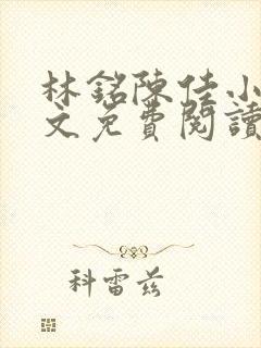 林铭陈佳小说全文免费阅读最新章节封面