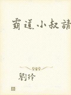 霸道小叔请轻撩封面