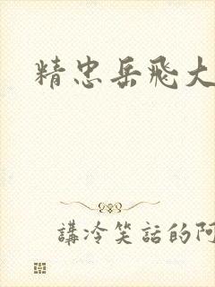 精忠岳飞大结局