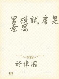 男模试房是什么意思