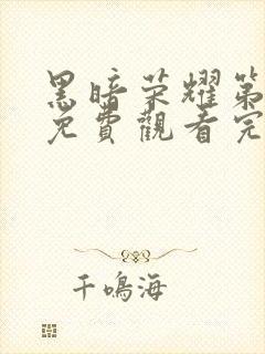 黑暗荣耀第二季免费观看完整版高清