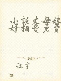 小说丈母娘和女婿相爱免费阅读封面