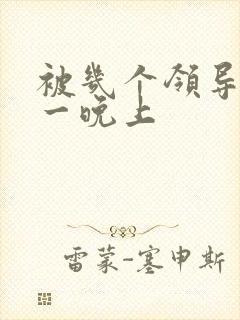 被几个领导玩弄一晚上