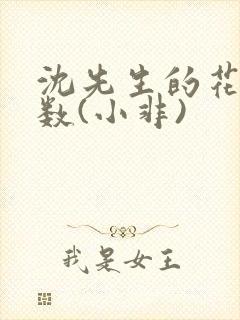 沈先生的花式调数(小非)