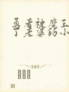 勇者被魔王变成了老婆的小说封面