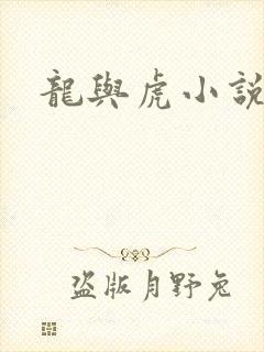 龙与虎小说