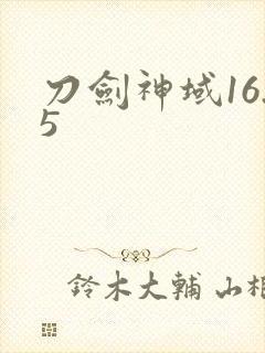 刀剑神域16.5