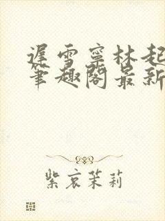 迟雪宁林起高谨笔趣阁最新章节更新