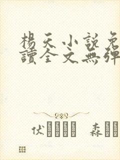 杨天小说免费阅读全文无弹窗