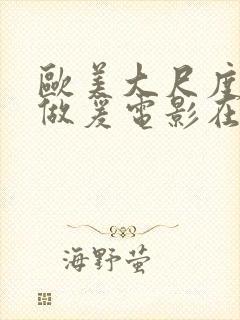 欧美大尺度床戏做爰电影在线观看