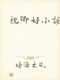 祝卿好小说封面