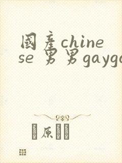 国产chinese 男男gaygay网站