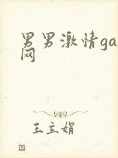 男男激情gay网
