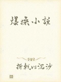 爆操小说封面